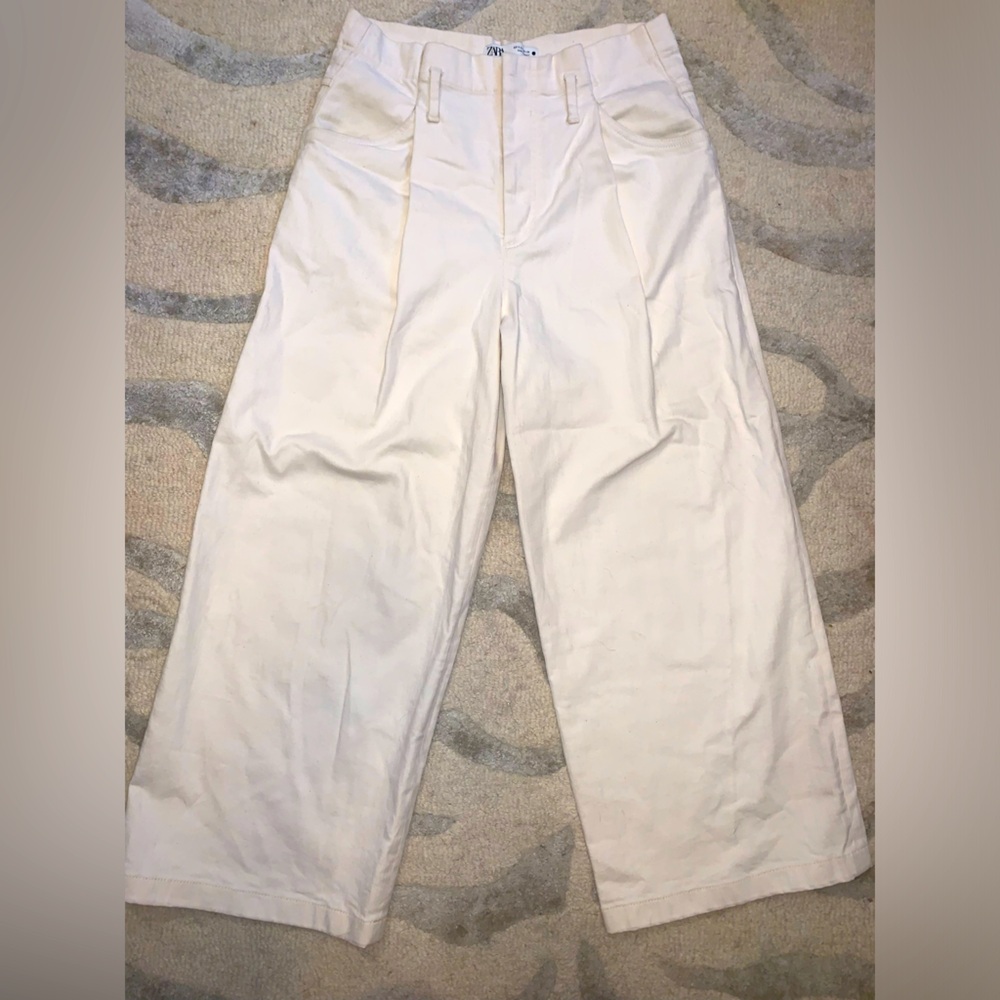 Zara Wide Leg Pleated Stretch Trouser Pants